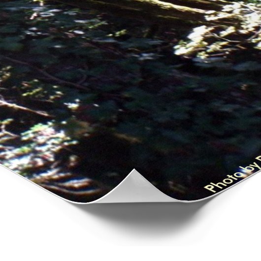 目覚める神の自己の価値 ポスター (角)