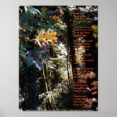 目覚める神の自己の価値 ポスター (正面)