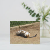 目覚める ポストカード (スタンド正面)