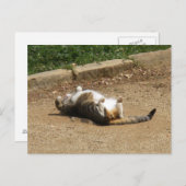 目覚める ポストカード (正面/裏面)