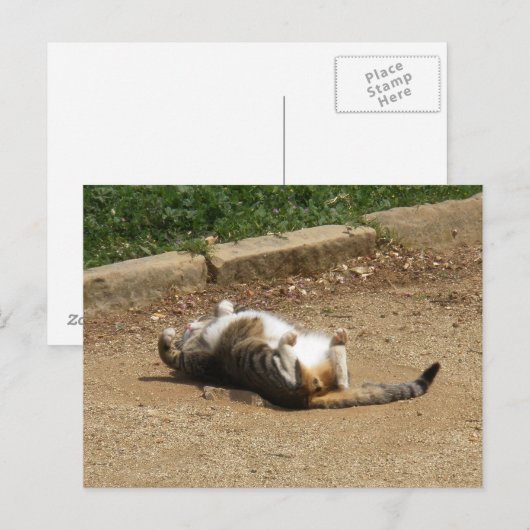 目覚める ポストカード (正面/裏面)