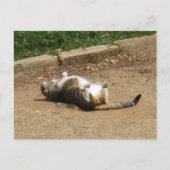 目覚める ポストカード (正面)