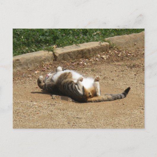 目覚める ポストカード (正面)