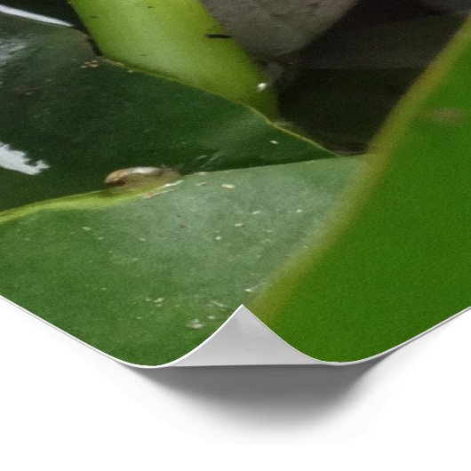 目覚め写真ポスター ポスター (角)