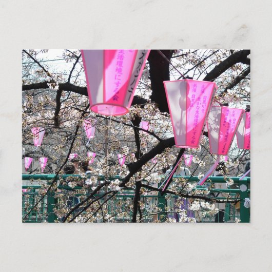 目黒川の桜まつり ポストカード (正面)