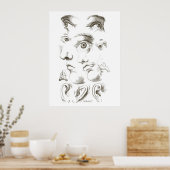 目，プロフィール，耳のスケッチ, 17世紀，ヴィンテージ ポスター (キッチン)