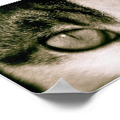 目 ポスター (角)