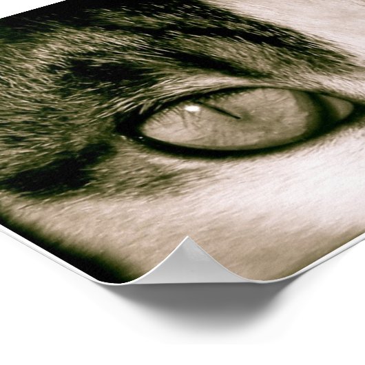 目 ポスター (角)