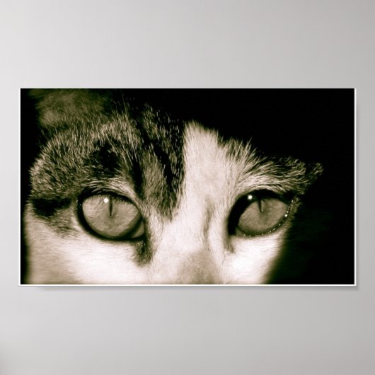 目 ポスター (正面)