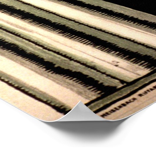 目 ポスター (角)