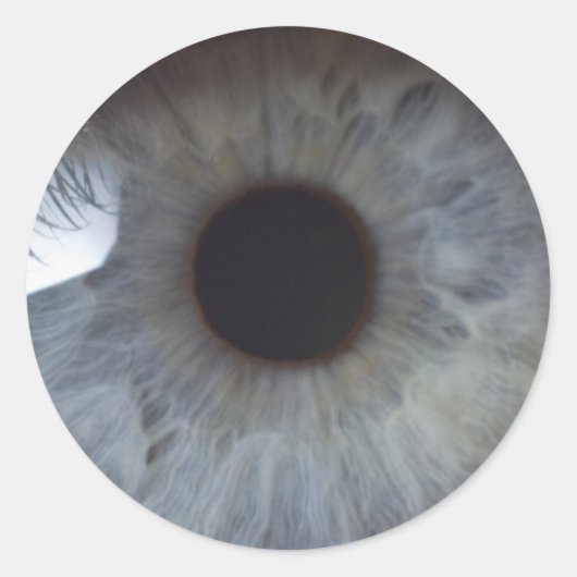 目 ラウンドシール (正面)