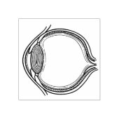 目See You Rubber Stamp ラバースタンプ (インプリント)