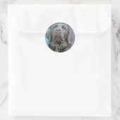 盲導犬 – Black Lab Cross ラウンドシール (バッグ)