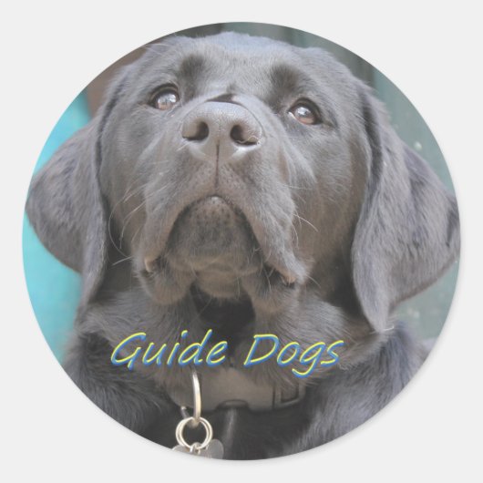 盲導犬 – Black Lab Cross ラウンドシール (正面)