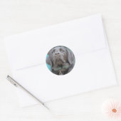 盲導犬 – Black Lab Cross ラウンドシール (封筒)