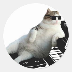 盲目の猫ピアニスト ラウンドシール