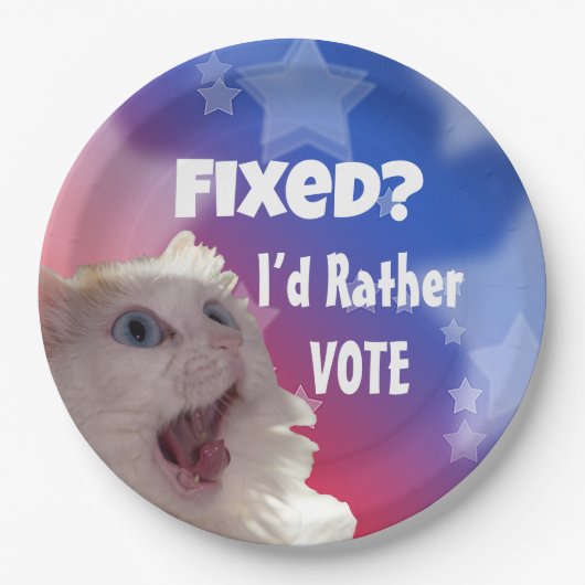 直った？投票したい ペーパープレート (正面)