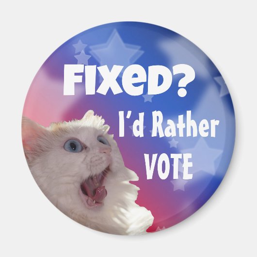 直った？投票したい マグネット (正面)