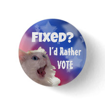 直った？投票したい