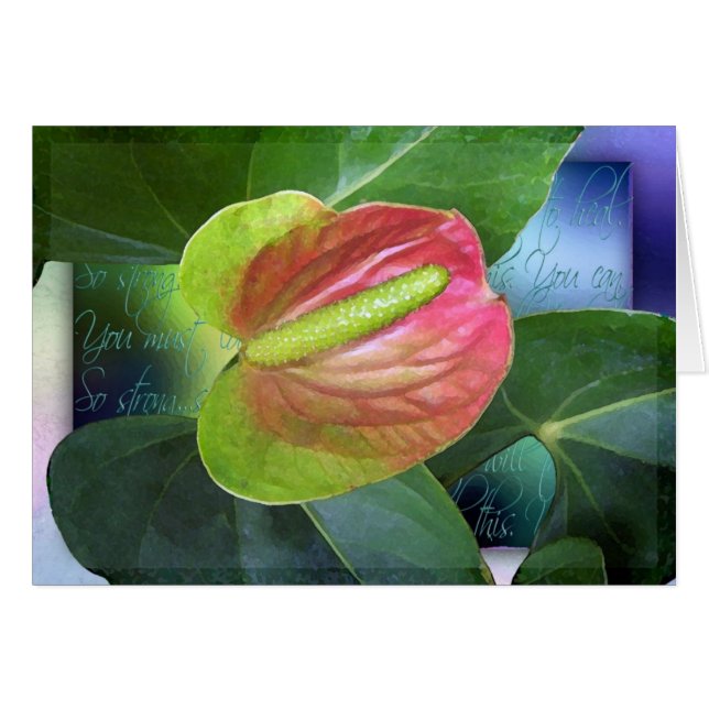 直るべき意志 (正面横)