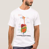 直感に注意を払う（解剖学的ユーモア） Tシャツ (正面)