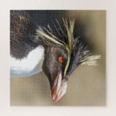 直立したクレストペンギン ジグソーパズル (横)