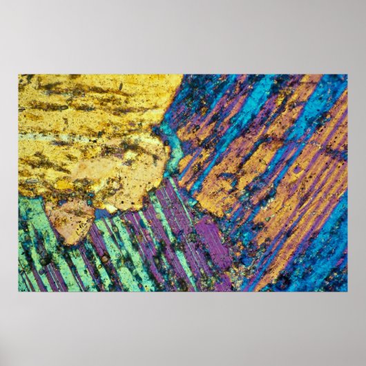 直立サイト ポスター (正面)