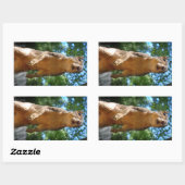 直立リス 長方形シール (シート)