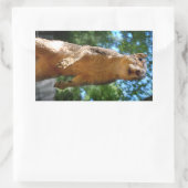 直立リス 長方形シール (バッグ)