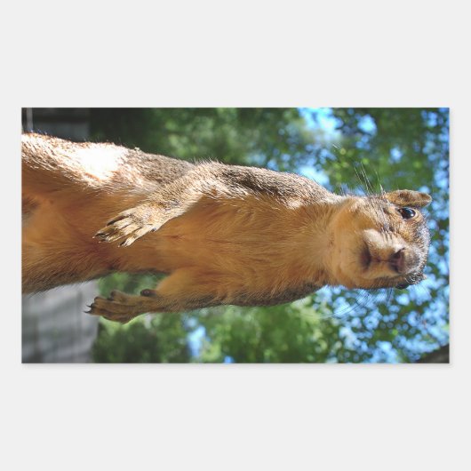 直立リス 長方形シール (正面)