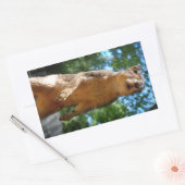 直立リス 長方形シール (封筒)