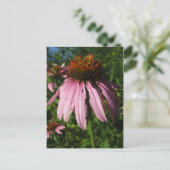 直立円錐花 ポストカード (スタンド正面)