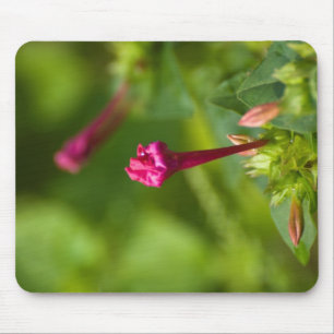 直立花 マウスパッド