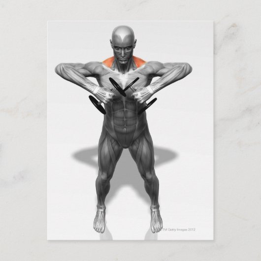 直立行エクササイズ2 ポストカード (正面)