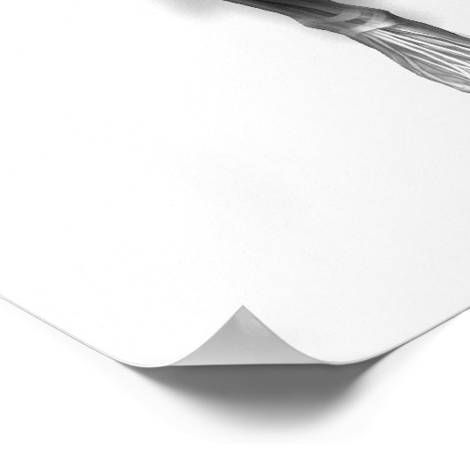 直立行エクササイズ ポスター (角)