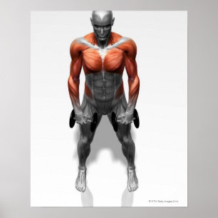 直立行エクササイズ ポスター