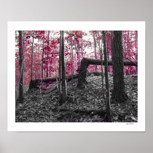 直角 ポスター (正面)