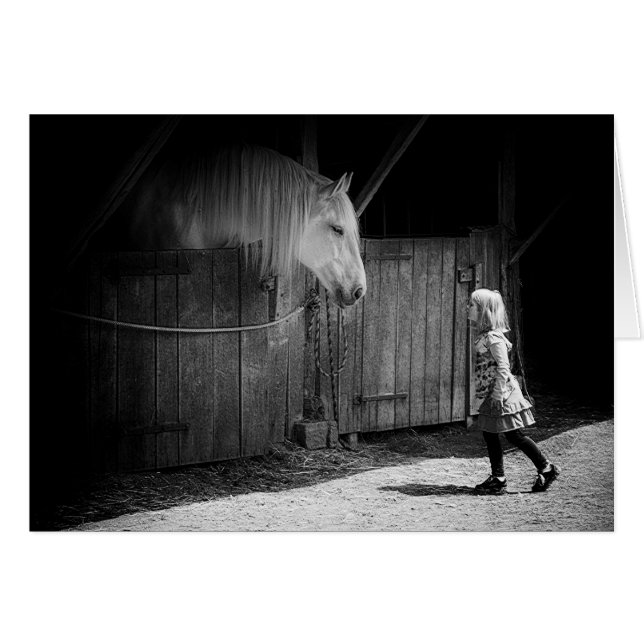 相互好奇心 (正面横)