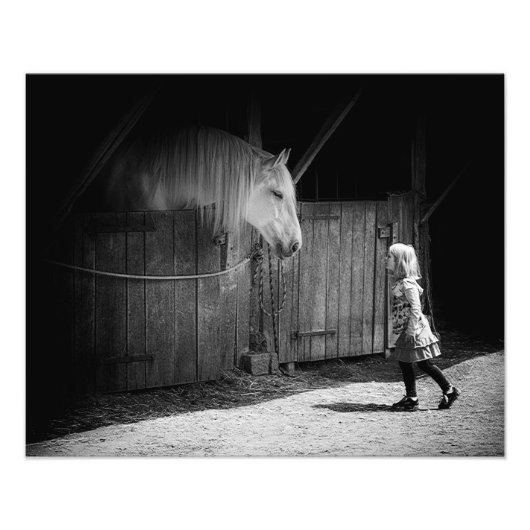 相互好奇心 フォトプリント            (正面)