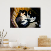 相互扶助 ポスター (キッチン)