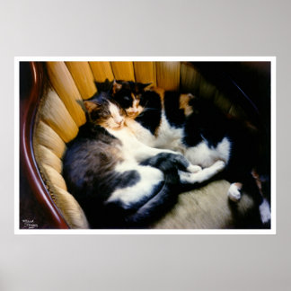 相互扶助 ポスター