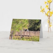 相互誕生日自然ウォーク&二人男友達 カード (黄色い花)