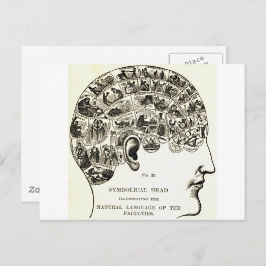 相学 ポストカード (正面/裏面)