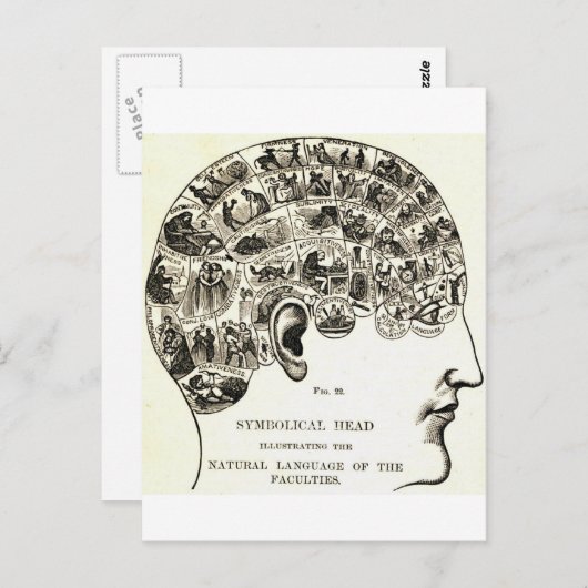 相学 ポストカード (正面/裏面)