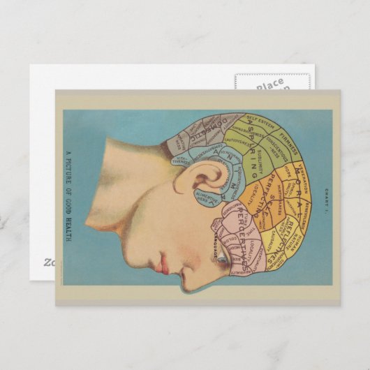 相学 ポストカード (正面/裏面)