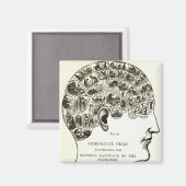 相学 マグネット (正面/裏面)