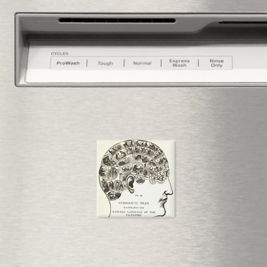 相学 マグネット (インサイチュ (食洗機))