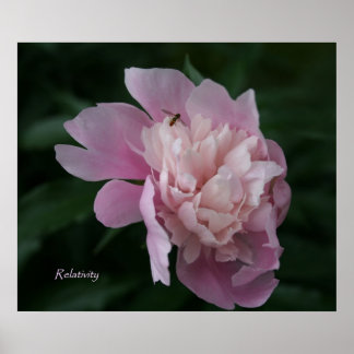 相対性再生可能アートポスター ポスター