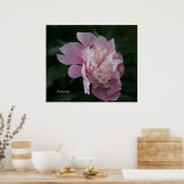 相対性再生可能アートポスター ポスター (キッチン)