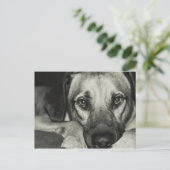 相棒はがき ポストカード (スタンド正面)